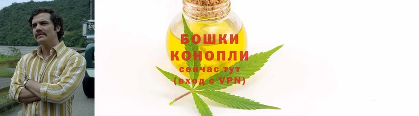 Шишки марихуана OG Kush  мориарти состав  Костомукша 